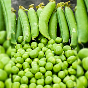 Fresh-peas