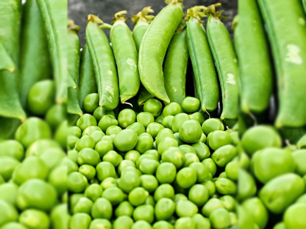 Fresh-peas